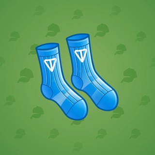 Fresh Socks Foundation model gift number 124581