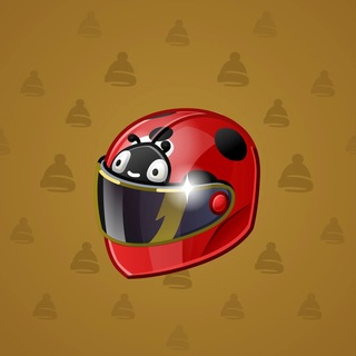 Neko Helmet Ladybug model gift number 15523