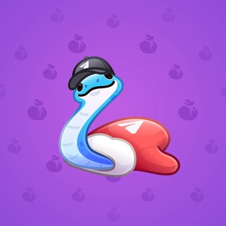 Pet Snake Durov’s Cap model gift number 21108