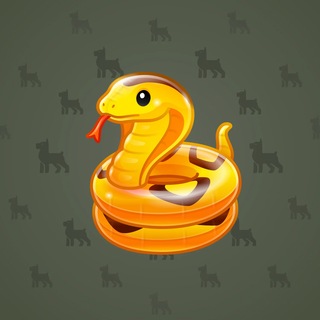 Pool Float Golden Cobra model gift number 175434