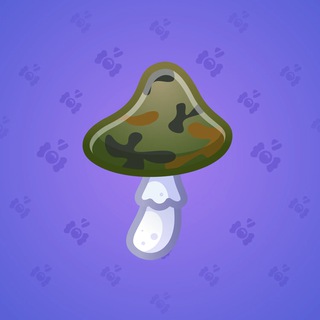 Spy Agaric Camo model gift number 42862